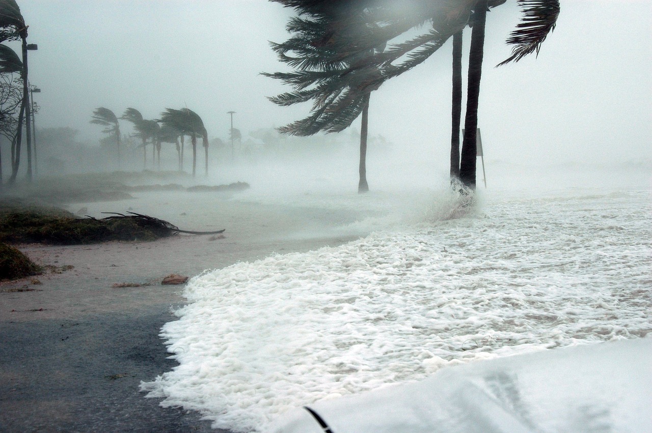 Image of Florida Hurrican